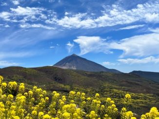 С июня 2017 года на Тенерифе наблюдается рост микросейсмичности