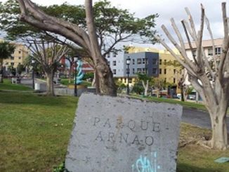 На Канарах в парке и средь бела дня убили молодого человека