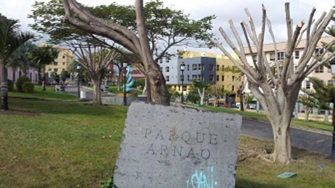 На Канарах в парке и средь бела дня убили молодого человека На Канарах в парке и средь бела дня убили молодого человека