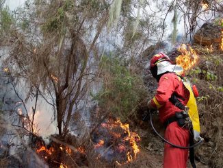 Возгорание в труднодоступной зоне на севере острова Тенерифе