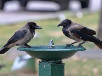 На Канарах красные и оранжевые предупреждения по погодным условиям