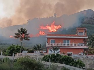 Тенерифе: уже четыре поджога на острове за прошедшие два дня