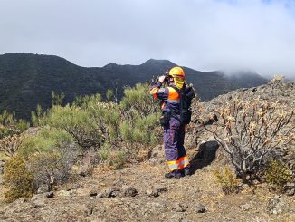 На острове Тенерифе поймали местного поджигателя лесов