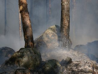 Канарские острова все выходные будут под угрозой: затронуты пять островов