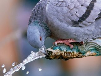 Aemet: на Канарские острова возвращается сильная жара: температура до 37ºC