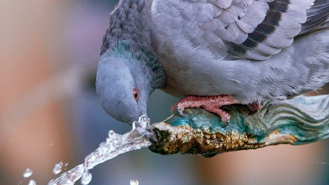 Aemet: на Канарские острова возвращается сильная жара: температура до 37ºC Aemet: на Канарские острова возвращается сильная жара: температура до 37ºC