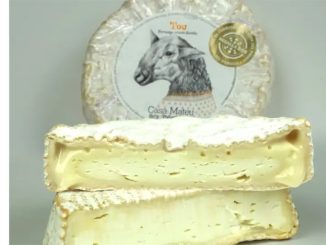 Внимание: в овечьем сыре известной марки обнаружена сальмонелла