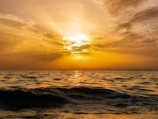 Сюрприз: дым от канадских пожаров скоро достигнет Канарских островов