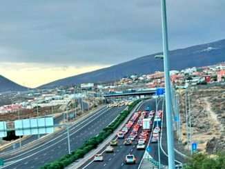 Пёс погулял по шоссе TF-1, напугав водителей и остановив движение