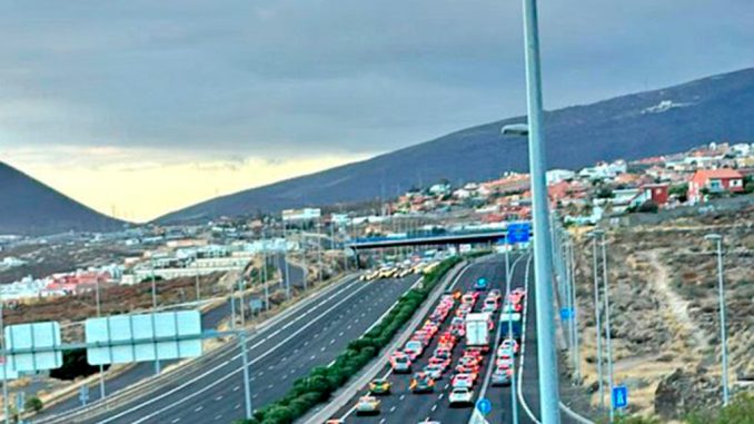 Пёс погулял по шоссе TF-1, напугав водителей и остановив движение