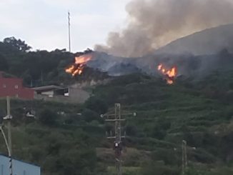 Наконец-то кто-то сядет в тюрьму за поджоги на острове Тенерифе