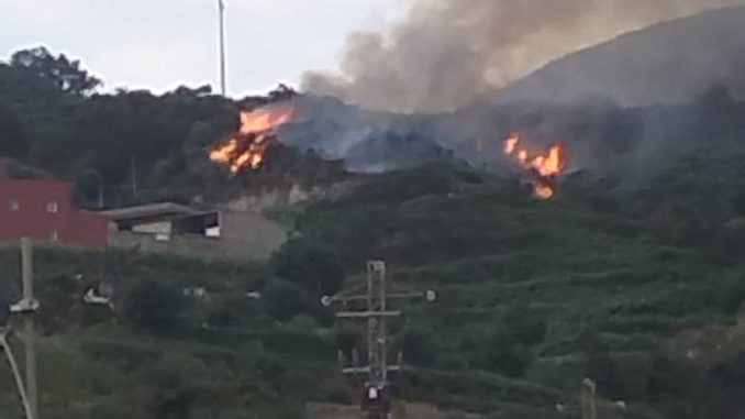 Наконец-то кто-то сядет в тюрьму за поджоги на острове Тенерифе Наконец-то кто-то сядет в тюрьму за поджоги на острове Тенерифе