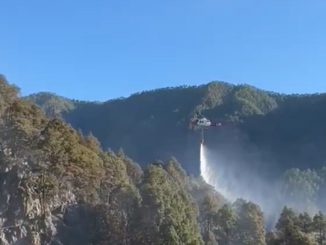 Пожар на многострадальном канарском острове - скорее всего поджог