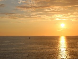 Aemet предупреждает: в ближайшие дни на Канарах будет серьёзное нашествие калимы