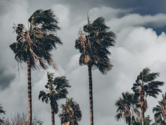 На Канарах обновили предупреждения по погодным условиям и объявили новое