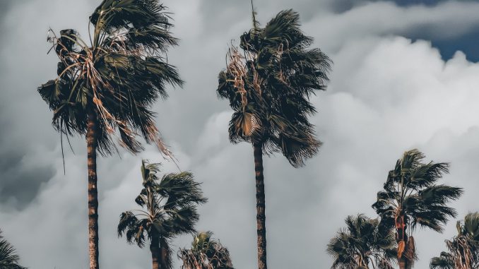 На Канарах обновили предупреждения по погодным условиям и объявили новое На Канарах обновили предупреждения по погодным условиям и объявили новое