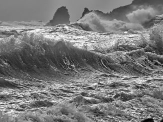 Похоже серьёзно: на Канарах объявили "situación prealerta" из-за шторма