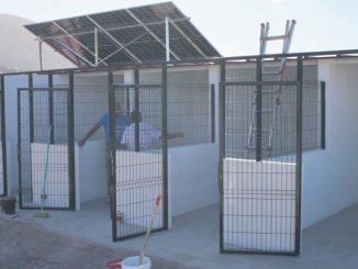 Новое убежище на юге Тенерифе для брошенных животных