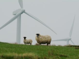 Расширены оповещения об опасных погодных явлениях на Канарах