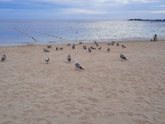 Aemet обновил на Канарах предупреждения в связи с неблагоприятной погодой