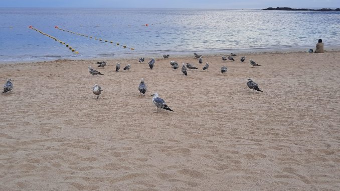 Aemet обновил на Канарах предупреждения в связи с неблагоприятной погодой Aemet обновил на Канарах предупреждения в связи с неблагоприятной погодой