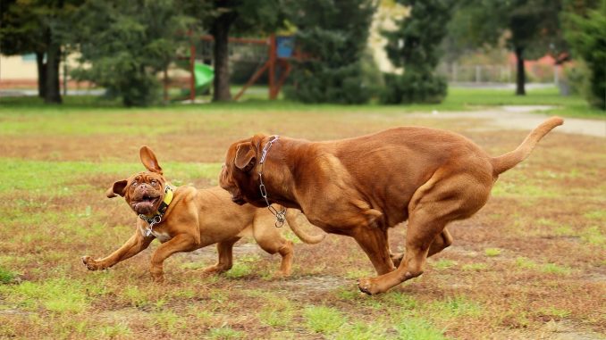 Водительские права в Испании и ЕС: что изменится в ближайшее время Водительские права в Испании и ЕС: что изменится в ближайшее время