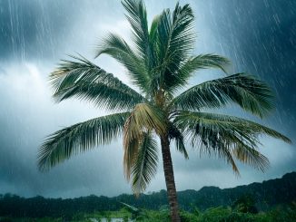 Штормам понравилось на Канарских островах - в субботу ждём ещё один