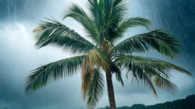 Штормам понравилось на Канарских островах - в субботу ждём ещё один