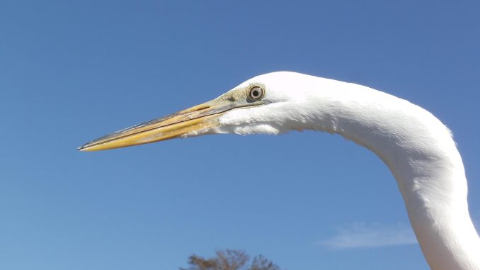 Готовьтесь, Канары: в этом году получите на пару миллионов туристов больше