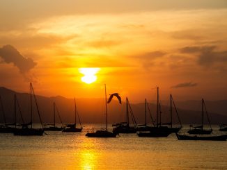 Совет по здравоохранению объявил об "очень высоком" риске на Канарах