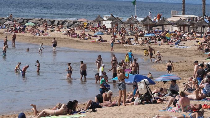 Сколько туристов выбирают на Канарах именно остров Тенерифе? Сколько туристов выбирают на Канарах именно остров Тенерифе?