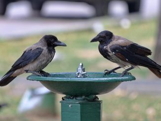 Африка посетила Канары: в сентябре поставлен рекорд - 41°C жары