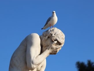 Странно: покупки жилья на Канарах в апреле упали, а цены ещё больше взлетели
