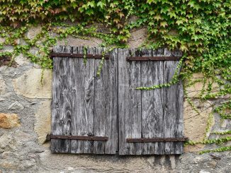 Сельский туризм на Канарских островах в состоянии комы