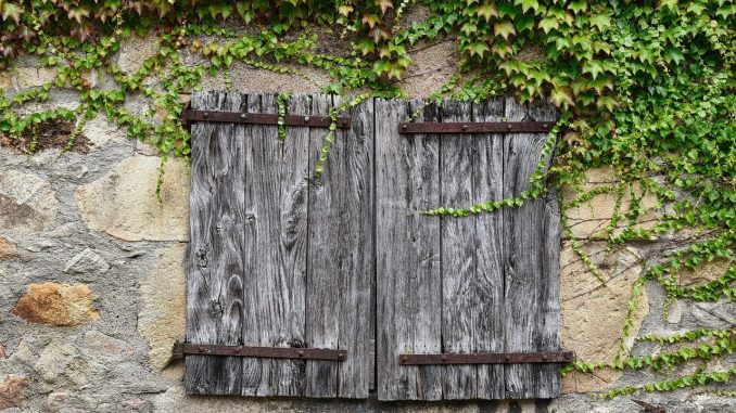 Сельский туризм на Канарских островах в состоянии комы Сельский туризм на Канарских островах в состоянии комы