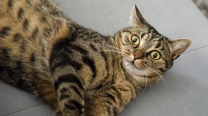 Законы и штрафы начинают работать? Цены на жильё снижаются на Канарах