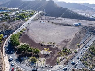 Adeje идёт на зелёный подвиг: на въезде с шоссе TF-1 появится лес