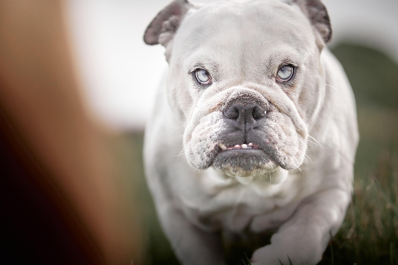 Всё серьёзно: за туристическую аренду берётся "Seguridad social" Всё серьёзно: за туристическую аренду берётся "Seguridad social"