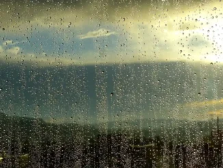 Ждём ураган Gabrielle в ближайшие часы: что он принесёт на Канары?