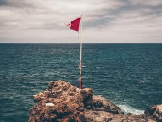 Первичный сектор Канар: «Без собственного производства будем есть друг друга»