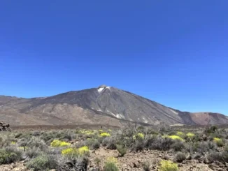 Вулкан на Тенерифе, год 2025. Эксперты пока в сомнениях - когда рванёт?