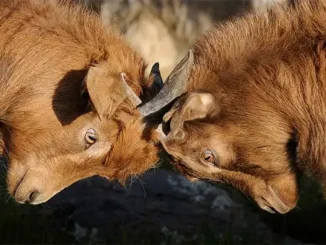 Мадрид готовится в очередной раз увеличить взносы самозанятых