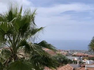 Сколько жилья на Канарах покупают иностранцы каждый день?