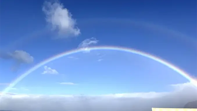 Шторм "Emilia" продолжает шалить на Тенерифе, уже десятки инцидентов