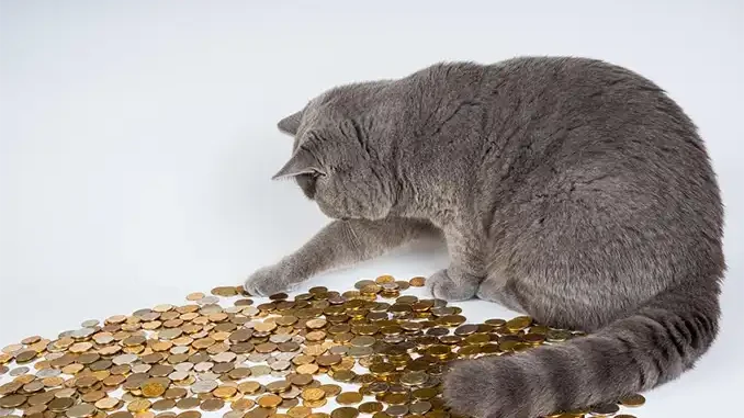 Владельцам жилья для временной аренды напрячься: налоговая готовит сюрприз Владельцам жилья для временной аренды напрячься: налоговая готовит сюрприз