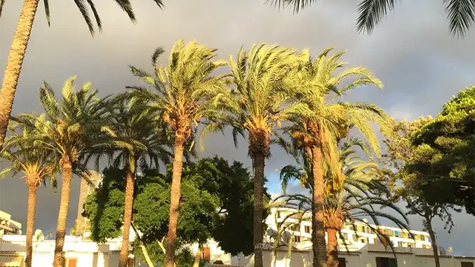 Жильё на юге острова Тенерифе впервые дороже, чем в столице Жильё на юге острова Тенерифе впервые дороже, чем в столице