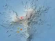 Это серьёзно: несколько землетрясений на острове El Hierro
