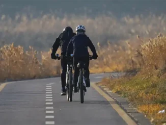 Велосипедисты на дорогах Тенерифе: реальность безопасности, закон и системная ошибка