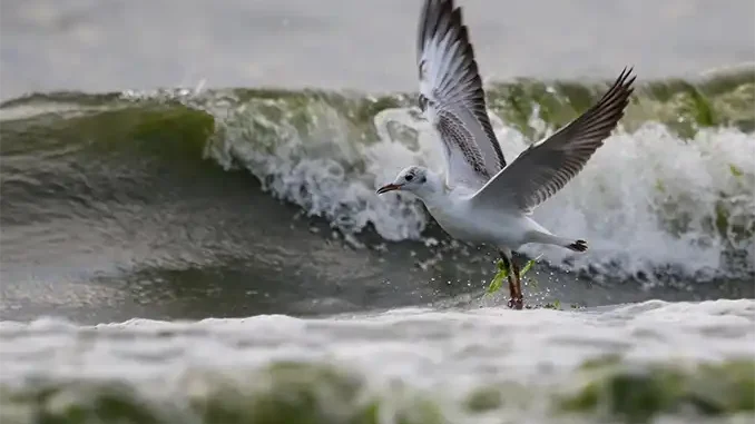 Выходные на Канарских островах: повышен уровень погодной опасности