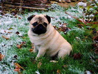 Аренда комнаты на Канарах подорожала почти на 50% за пять лет